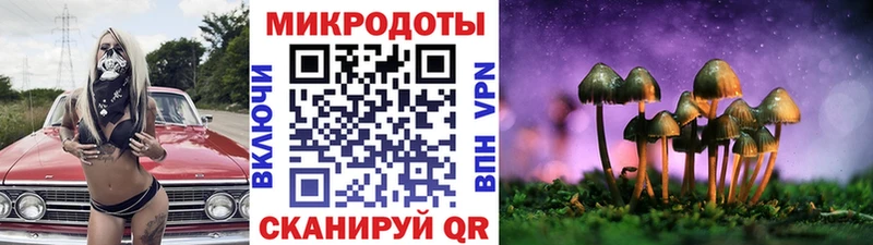 купить наркоту Карачев mega ссылки Галлюциногенные грибы Cubensis